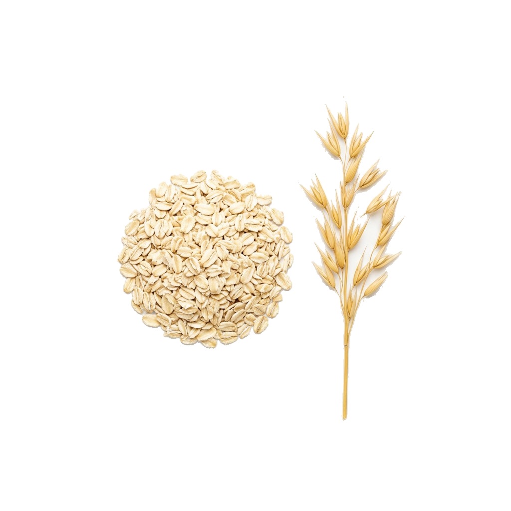 Oats
